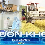 Vươn khơi - Ngày 22/5/2026 | TP. Hồ Chí Minh: Nhiều chính sách ưu đãi thúc đẩy phát triển kinh tế tư nhân