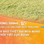 Cảnh báo thiệt hại mùa màng do thời tiết cực đoan