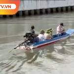 Vĩnh Long: Thông tin 2 con cá sấu nổi trên sông Tiểu Cần là giả, do A.I tạo dựng