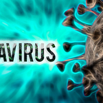Bộ Y tế lên tiếng về virus Hanta sau chùm ca tử vong trên tàu du lịch nước ngoài