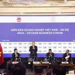 Tổng Bí thư, Chủ tịch nước Tô Lâm dự Diễn đàn doanh nghiệp Việt Nam - Ấn Độ