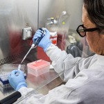 Argentina: Điều tra nguồn gốc ổ dịch virus Hanta