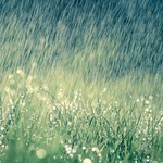 Cảnh báo mưa dông, mưa lớn cục bộ ở Bắc Bộ và Bắc Trung Bộ