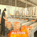 Thoát vòng luẩn quẩn “được mùa mất giá” cho ngành trứng gia cầm
