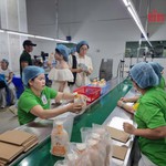 Từ mua sắm xanh đến phát triển bền vững qua nền tảng số