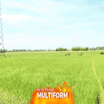 Xã Thái Mỹ tăng tốc chuẩn bị lên phường, hướng tới đô thị vệ tinh hiện đại