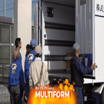 Nhật Bản: Thả 8 con cò quăm mào quý hiếm về tự nhiên