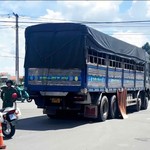 TP. Hồ Chí Minh: Va chạm với xe tải khi đi mua giày, bé gái 12 tuổi tử vong