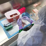 Congo: Mở phòng thí nghiệm giúp xác định nhanh virus Ebola