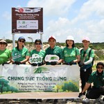 Trồng gần 5.000 cây phục hồi rừng tại Khu bảo tồn thiên nhiên Tà Kóu
