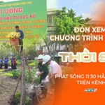 Thời sự trưa HTV ngày 6/6/2026 | Phường Phước Long phát động trồng cây nhớ ơn Bác Hồ
