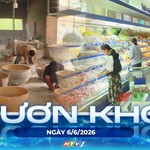Vươn khơi - Ngày 6/6/2026 | Hoàn thiện tiêu chí đánh giá, phân hạng sản phẩm OCOP