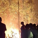 Cháy rừng ở Nghệ An, hàng trăm người căng mình dập lửa trong đêm