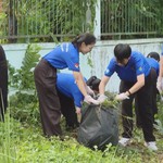 Mùa hè xanh 2026: Tuổi trẻ góp sức xây dựng cộng đồng