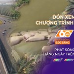 60 Giây Sáng ngày 11/7/2026 | Đồng Nai: Khởi công tuyến đường trọng điểm kết nối sân bay Long Thành