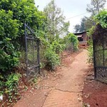 Đồng Nai điều tra vụ án mạng đặc biệt nghiêm trọng khiến 3 người tử vong