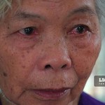 Công nhận bà Nguyễn Thị Lệ là vợ của liệt sĩ Huỳnh Văn Quên
