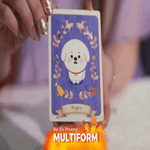 Dịch vụ xem bài tarot cho thú cưng thu hút người nuôi tại Hàn Quốc