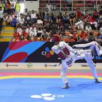 Taekwondo Việt Nam có cơ hội tích lũy điểm Olympic 2028
