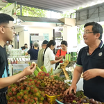 Chợ Xanh Tử Tế: Vì sao 10 năm vẫn đông khách ở Sài Gòn?