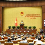 Thông cáo báo chí số 5, Kỳ họp không thường lệ thứ Nhất, Quốc hội khóa XVI