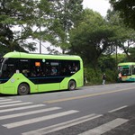 Tăng cường xe buýt phục vụ sinh viên tại Đại học Quốc gia TP. Hồ Chí Minh