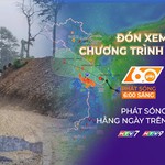60 Giây Sáng ngày 13/9/2026 | Lâm Đồng: Rùa biển lên đảo Hòn Cau đẻ trứng