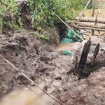 Triều cường làm sạt lở đê bao, ngập hơn 15 ha vườn cây ở Tân Phú