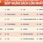 200 doanh nghiệp nộp ngân sách lớn nhất Việt Nam đóng góp kỷ lục gần 1 triệu tỷ đồng cho Nhà nước