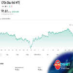 NewZMoney - Bắt sóng thị trường 8/9: VN-Index giảm gần 14 điểm sau 7 phiên tăng, giá vàng đi ngang chờ tin Fed