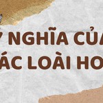 Inforgraphic: Ý nghĩa của những loài hoa cho Ngày Phụ nữ Việt Nam