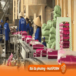 Canada - Cửa ngõ để hàng Việt vào thị trường Bắc Mỹ