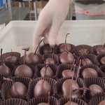 Giá ca cao toàn cầu chạm kỷ lục trước thềm Valentine