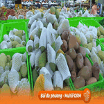 06 hệ thống siêu thị lớn tại TP.HCM liên kết kiểm soát chất lượng