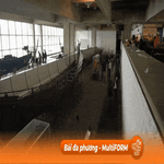 Dùng kỹ thuật cổ để phục chế tàu chiến Viking xưa