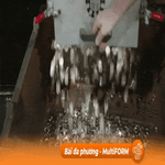 Anh lưu hành đồng xu một bảng có chân dung Vua Charles III