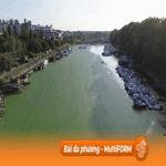 Serbia: Hiện tượng tảo nở hoa làm nước sông Sava chuyển màu xanh