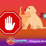 NewZgraphic: Hạn chế tiêu thụ thịt chó, mèo: Bảo vệ sức khỏe cộng đồng