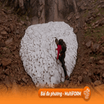 Mảng băng nổi tiếng ở Scotland lại tan chảy