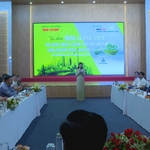 Năng lượng sạch và giải pháp giảm chi phí điện cho người dân, doanh nghiệp
