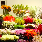 TP.HCM: Nở rộ nhiều mẫu hoa mới lạ dịp 8/3