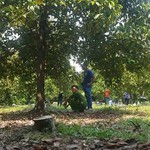 TP.HCM: Phát hiện bộ xương người nghi nam giới tại bãi đất trống ở Củ Chi