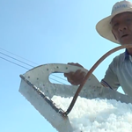 Diêm dân Cà Mau nhọc nhằn vụ muối vì mưa trái mùa