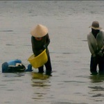 Khánh Hòa: Người dân Cam Ranh đổ ra đầm Thủy Triều bắt dời biển