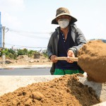 TP.HCM, Bình Dương có số lao động mất việc cao nhất nước