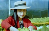Giải độc công nghệ - Tìm lại cân bằng giữa nhịp sống số | Vườn sao mai