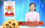 Chương trình hành động Ứng cử viên Đại biểu Hội đồng nhân dân TP. Hồ Chí Minh Khóa XI Phan Thị Cẩm Nhung