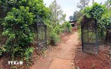 Đồng Nai điều tra vụ án mạng đặc biệt nghiêm trọng khiến 3 người tử vong