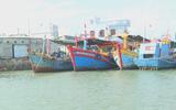 TP. Hồ Chí Minh quyết liệt gỡ “thẻ vàng” IUU