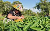 Mái ấm gia đình Việt: Cô bé mong lớn nhanh để gánh vác gia đình
